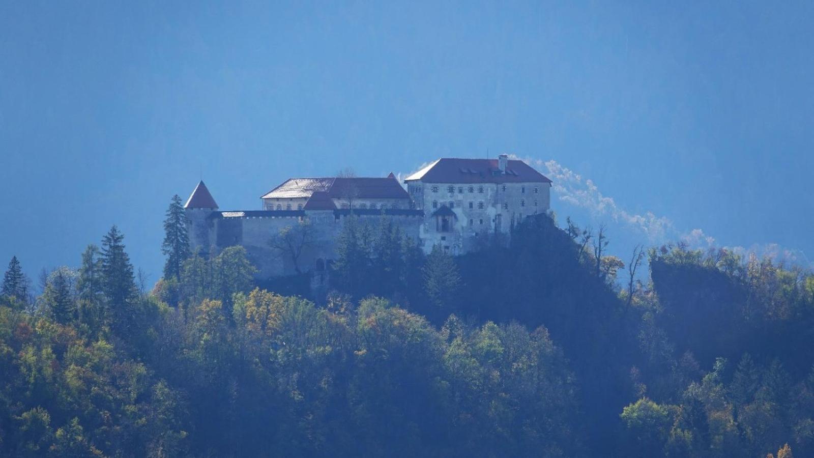 Inin Apartments Bled Zewnętrze zdjęcie